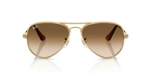 001/51 - Arista Gold frame / CLEAR GRADIENT BROWN lenses