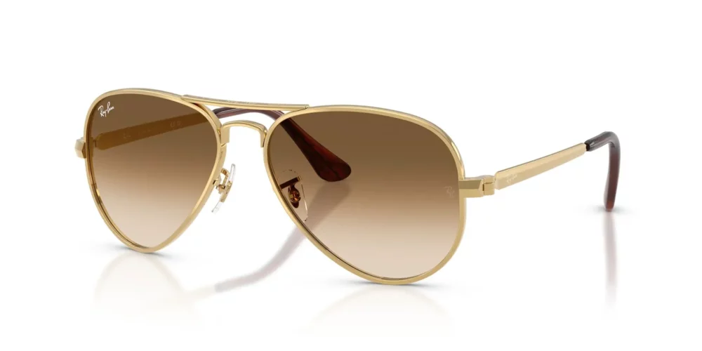 Ray-Ban Aviator Max RB3925 Čirá hnědá s přechodem