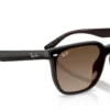 Ray-Ban RB4466D Brun Gradient