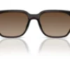 Ray-Ban RB4466D Brun Gradient