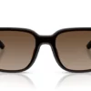 Ray-Ban RB4466D Brun Gradient