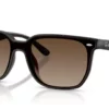 Ray-Ban RB4466D Brun Gradient
