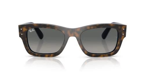 140171 - Havana Grey On Gradient Blue frame / Gradient Grey lenses