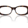 Ray-Ban  RX2221V Clear