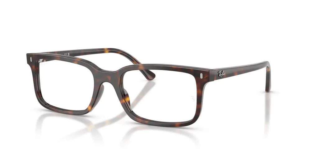 Ray-Ban  RX5445 Clear
