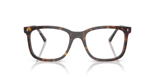 2012 - Havana frame / Clear lenses