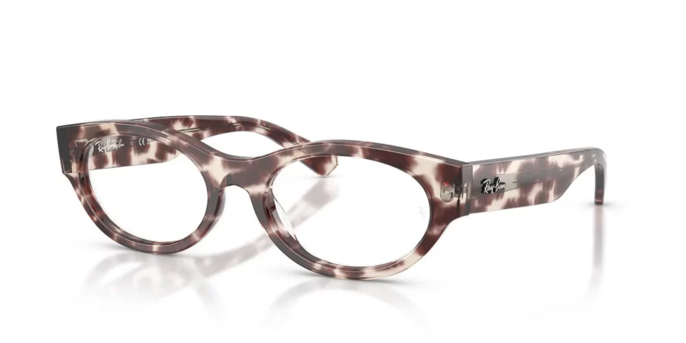Ray-Ban  RX5447 Clear