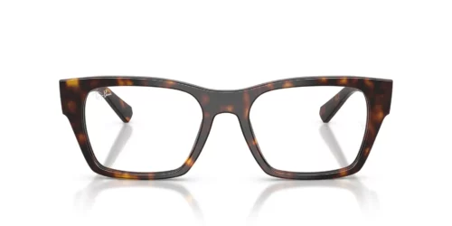2012 - Havana frame / Clear lenses