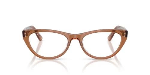 8201 - Transparent Brown frame / Clear lenses