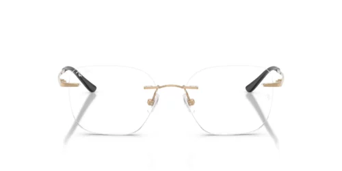 Ray-Ban  RX8783D Clear