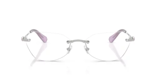 Swarovski SK1031 Silver Frame