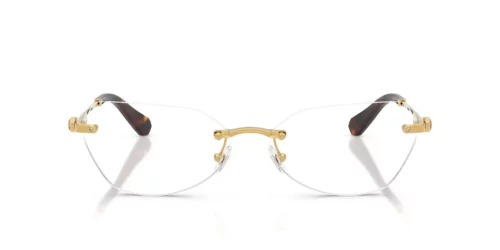 Swarovski  SK1031 Dark Gold Frame