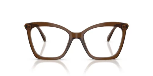 Swarovski  SK2053 Transparent Brown Frame