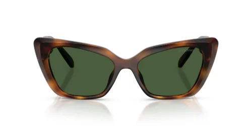 100271 - Havana frame / DARK GREEN lenses