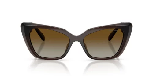1084T5 - Transparent Brown frame / Polar Brown Gradient lenses