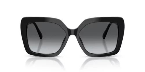 Swarovski  SK6049 Gradient Grey Polar