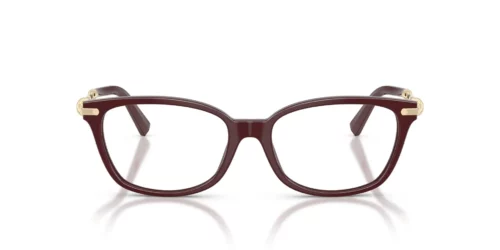 8389 - Burgundy frame / Clear lenses