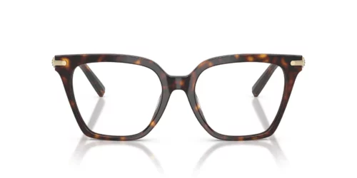 8015 - Havana frame / Clear lenses