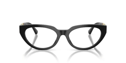 GB1 - Black frame / Clear lenses