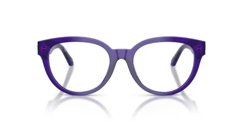 Versace  VE3384 Transparent Dark Violet Frame