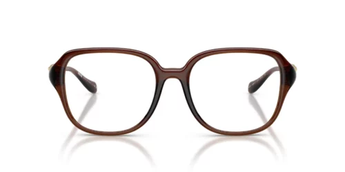 Versace  VE3386D Transparent Brown Frame