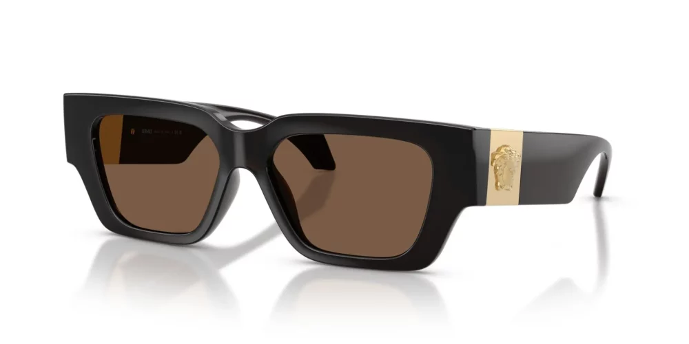 Versace  VE4497U Brown