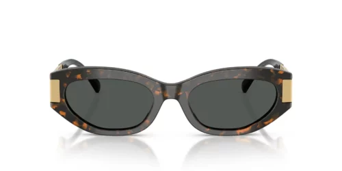 552887 - Brown Tortoise frame / DARK GREY lenses