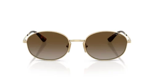848/T5 - Pale Gold frame / Grey Gradient Brown Polarized lenses