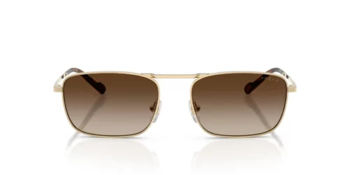 848/13 - Pale Gold frame / Gradient Brown lenses