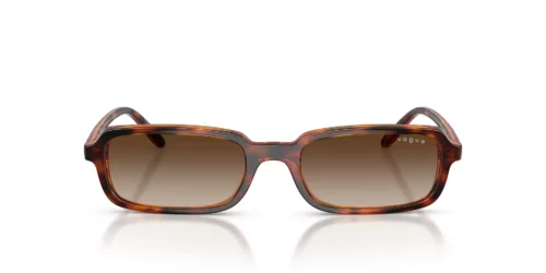 W65613 - Dark Havana frame / Gradient Brown lenses