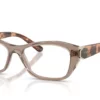 Vogue  VO5676 Transparent Brown Frame