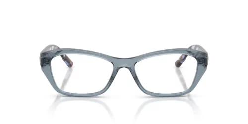 2966 - Transparent Blue frame / Clear lenses