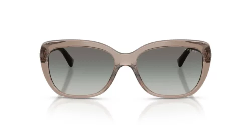 294011 - Transparent Brown frame / Gradient Grey lenses