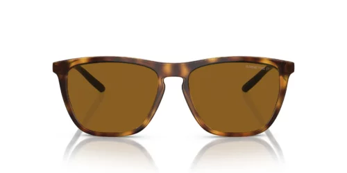 277083 - Dark Havana frame / Polar Dark Brown lenses