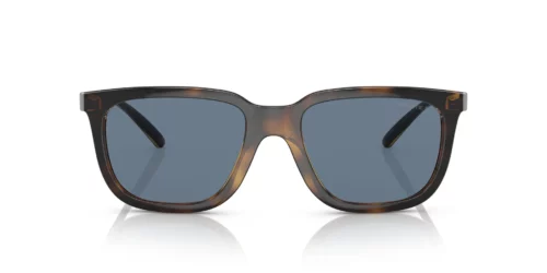 Arnette AN4306 Dark Havana / Dark Blue Polar