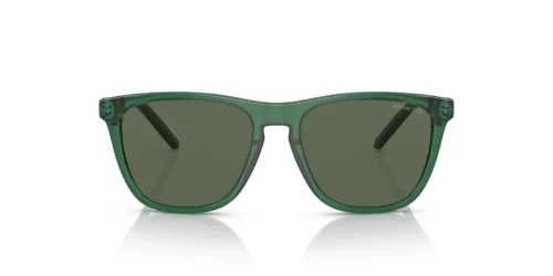 Arnette AN4310 Transparent Green / Dark Green