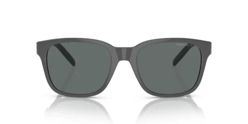 287081 - Grey frame / Polarized Grey lenses
