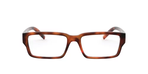Arnette AN-7181 Shiny Havana
