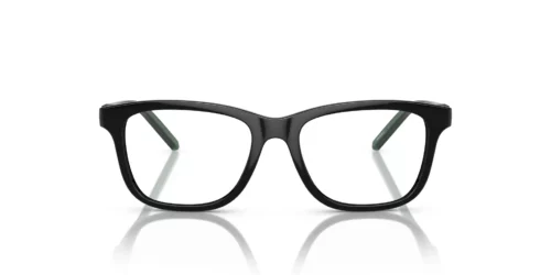 2753 - Black frame / Clear lenses