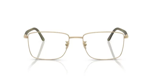 3002 - Armação em dourado claro fosco / Lentes transparentes