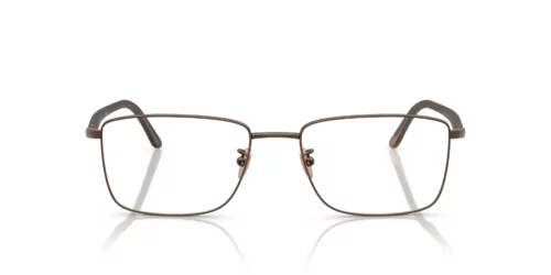3006 - Armação marrom fosca / Lentes transparentes