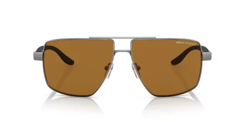 Armani Exchange  AX2037S Polar Brown