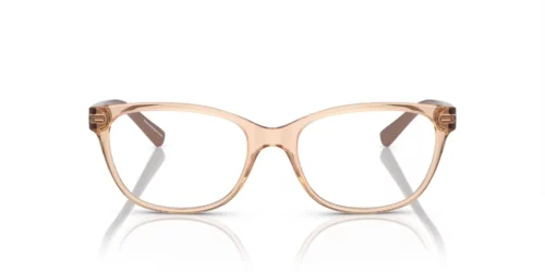8342 - Shiny Transparent Tundra frame / Clear lenses