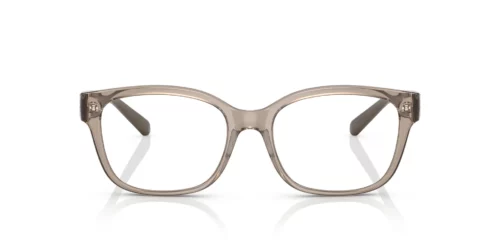 8240 - Shiny Transparent Tundra frame / Clear lenses