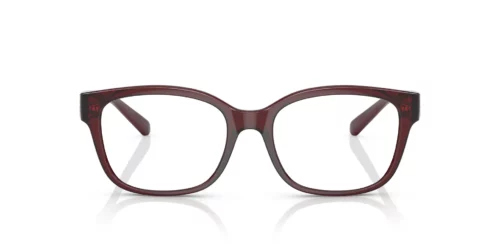 8241 - Shiny Transparent Red frame / Clear lenses