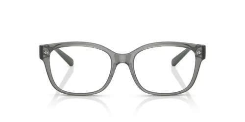 Armani Exchange  AX3098 Shiny Transparent Green Frame