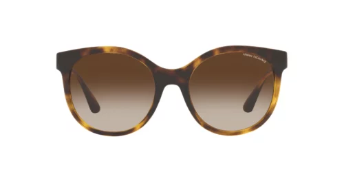 821313 - Shiny Havana frame / Gradient Brown lenses