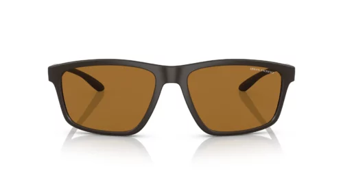 804183 - Matte Brown frame / Polar Brown lenses