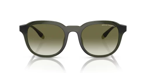 83418E - Shiny Transparent Green frame / Clear Gradient Dark Green lenses