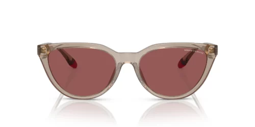 824069 - Armação Tundra Transparente Brilhante / Lentes Violeta Escuras